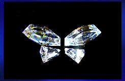 Special: Butterfly Cubic Zirconia